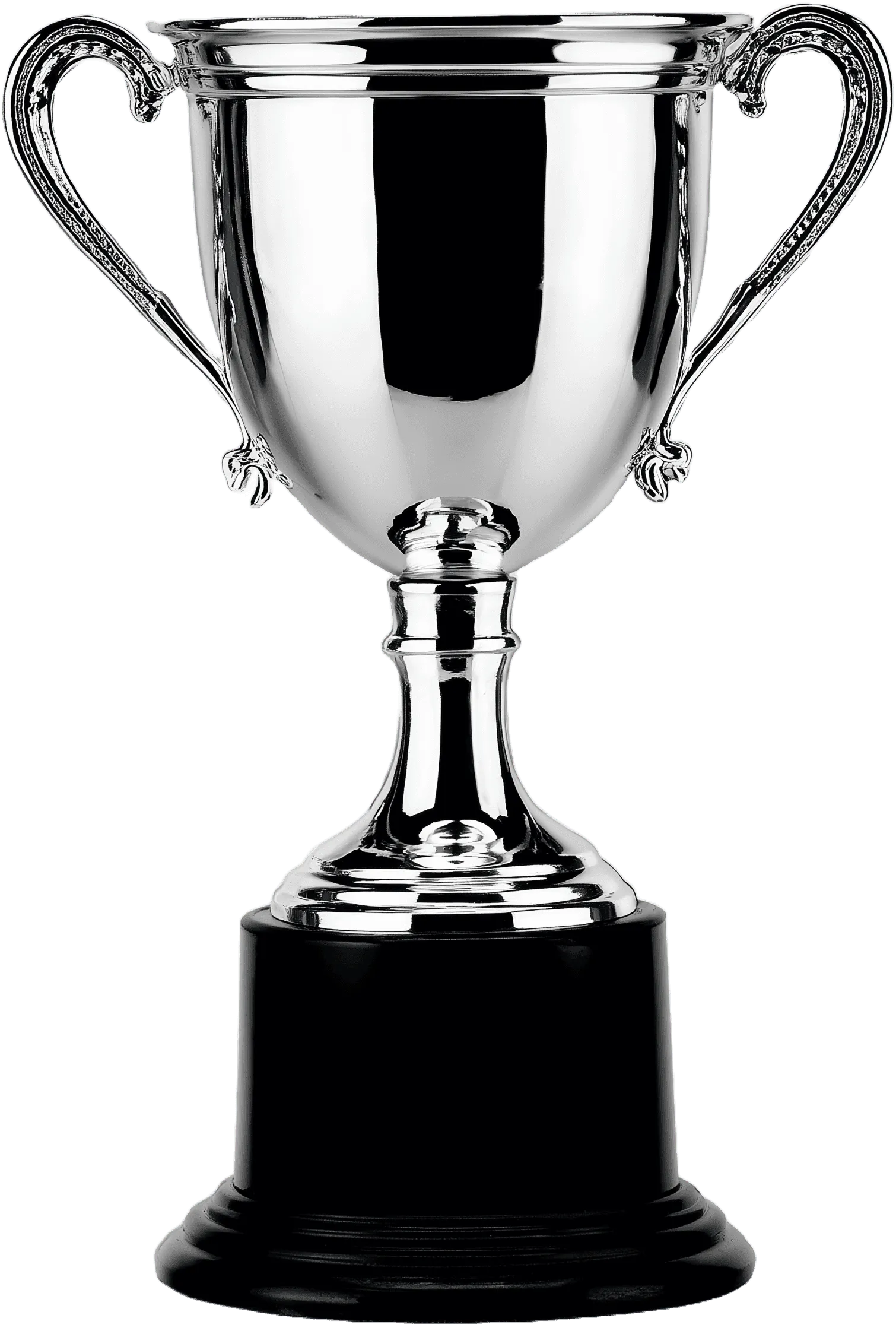 A shiny silver trophy on a black base, symbolizing achievement and victory.